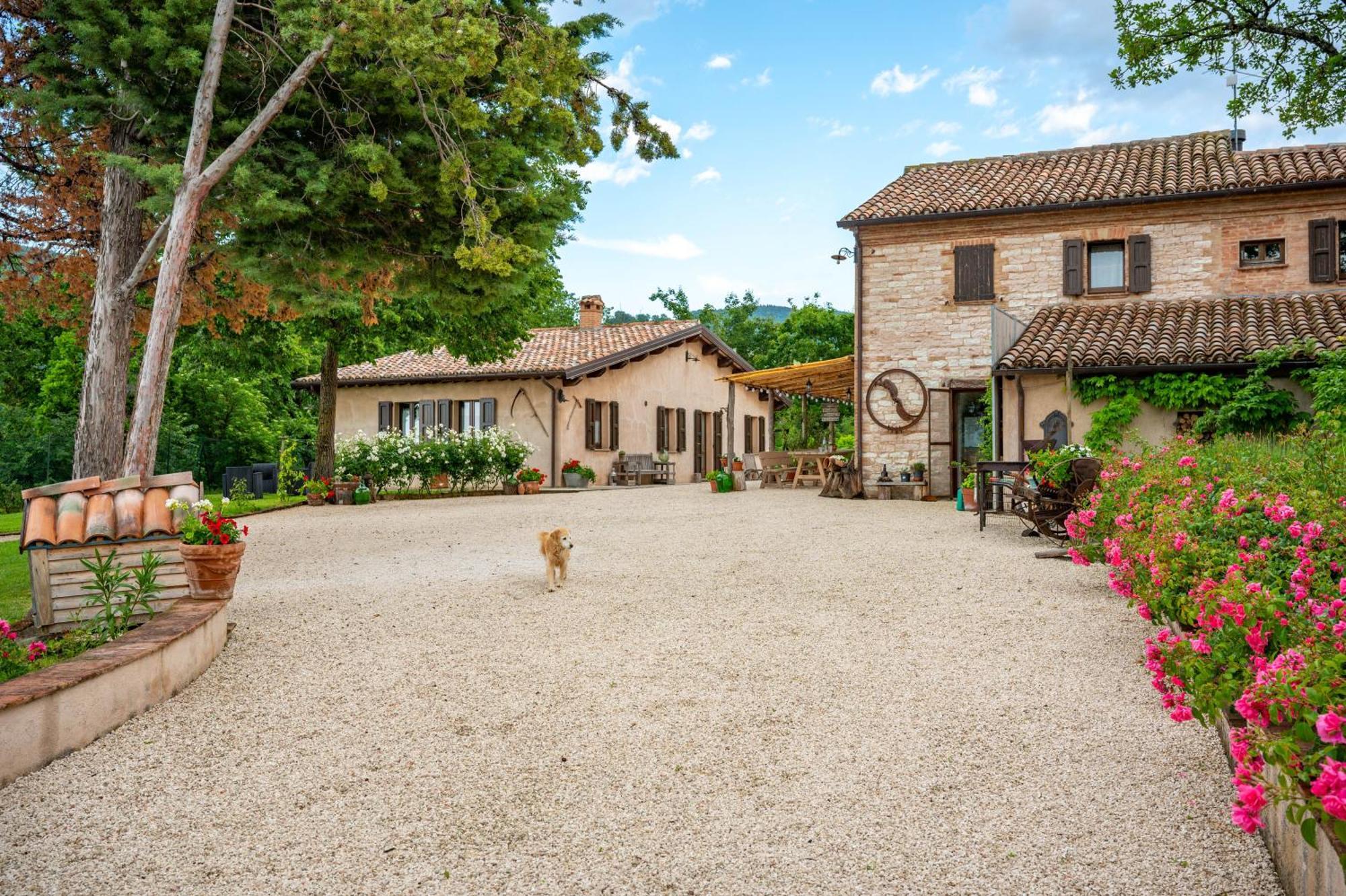 Agriturismo Il Castellaro Sassoferrato Eksteriør bilde