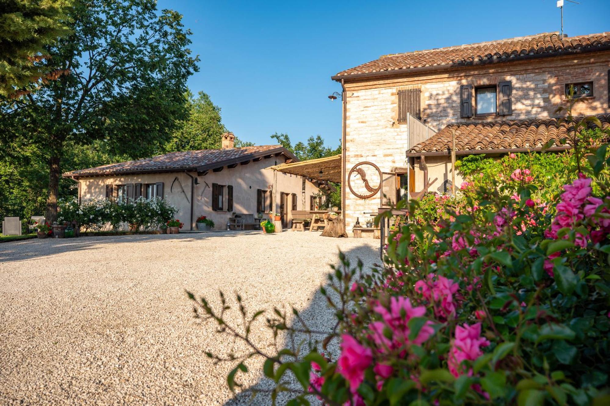 Agriturismo Il Castellaro Sassoferrato Eksteriør bilde